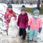 phoca_thumb_m_snh a zajci 37 Fotogalerie